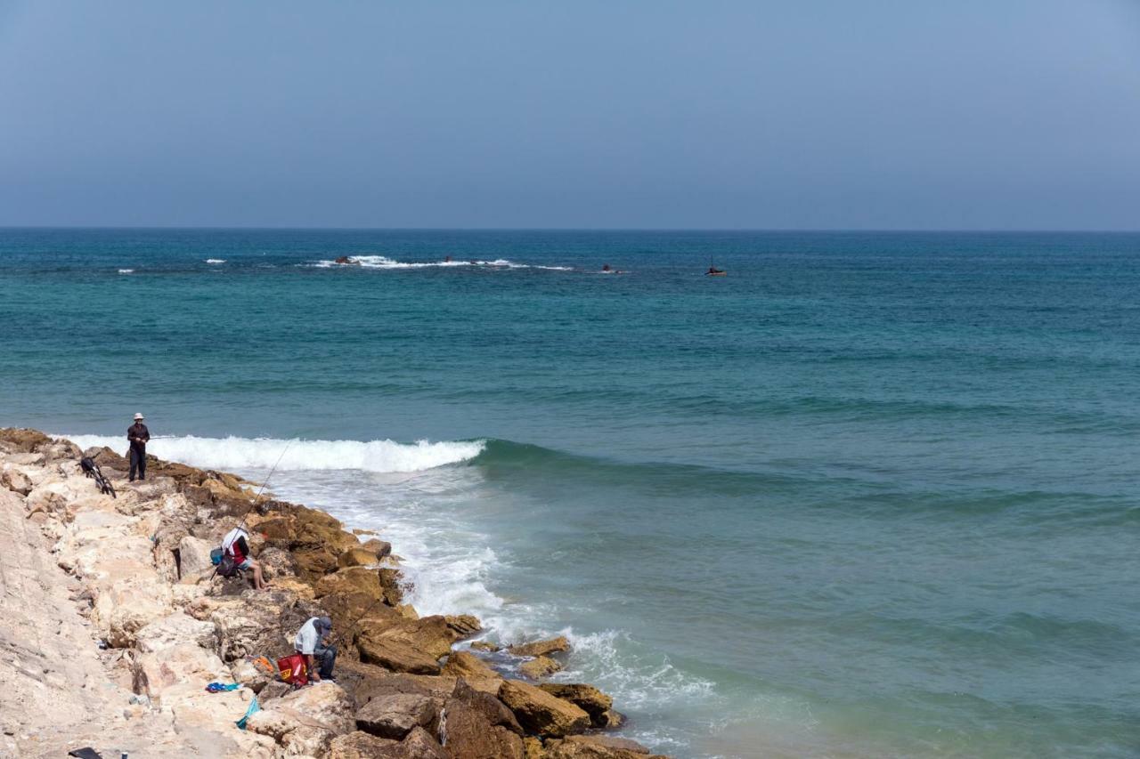 Joseph Tlv 2*